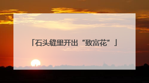石头缝里开出“致富花”
